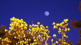 北京图见|2019年最后一轮“超级月亮”春分日登场