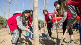 五大洲友人共同在北京昌平种下“国际友好林”