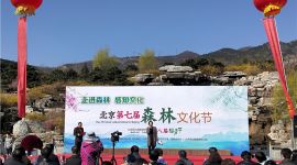 北京今年将举办200余场森林文化活动