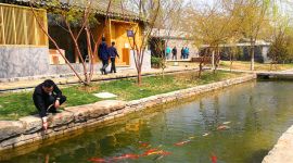 北京推动高质量发展调研行|“水穿街巷”景观重现 老胡同居民生活“都挺好”