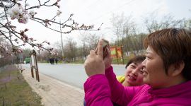 北京房山良乡镇腾退土地13万平方米 提升美化村庄环境