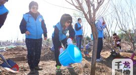 2019北京朝阳侨界春季公益植树300棵