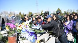 北京向市民发出清明文明祭扫倡议书