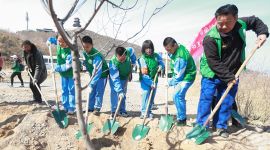 北京门头沟百余青年共植“五四百年青年林”