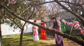 我们的节日·清明|北京大观园推出假期踏青体验活动