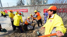 北京海淀学院路街道开展义务植树活动