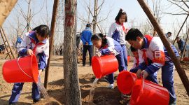 北京石景山区2019年拟增绿143.42公顷