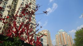 北京大屯街道居民有了低碳宜居的“花园式社区”