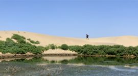 新疆是个好地方｜大漠、胡杨、湖泊……和田沙漠“湖杨”生态景区成旅游新热点