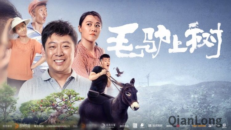 国内首部扶贫题材网络电影《毛驴上树》在京首映