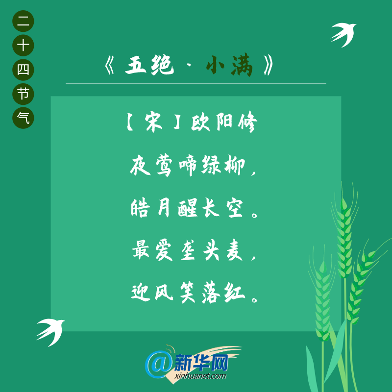 诗意节气小满遇见最美初夏