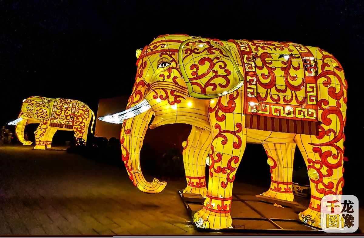 京彩|圆明园皇家夜市开市了-千龙网·中国首都网