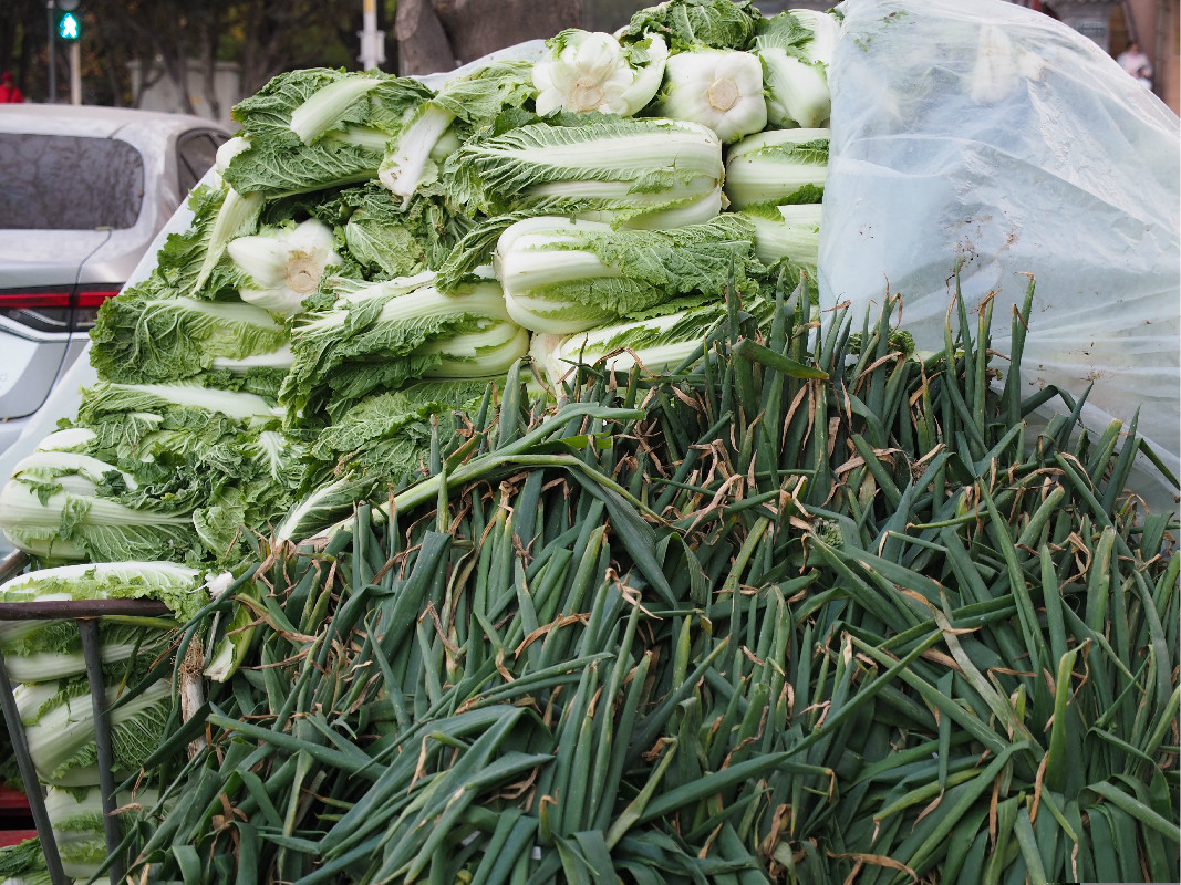 京彩东单菜市场冬储大白菜每斤038元