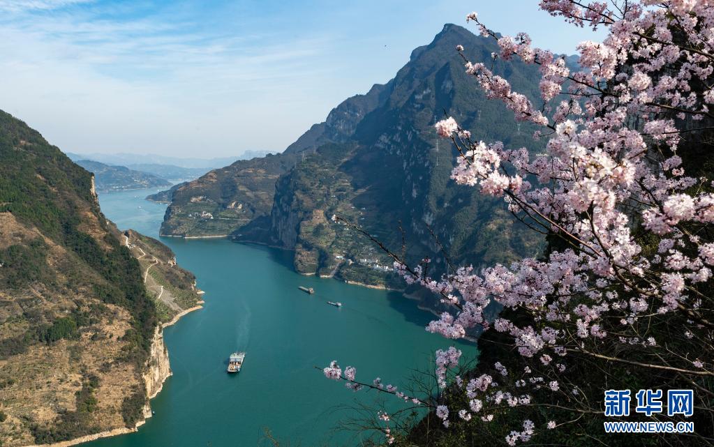 船舶行驶在长江三峡湖北省秭归县水域(2019年3月16日摄).