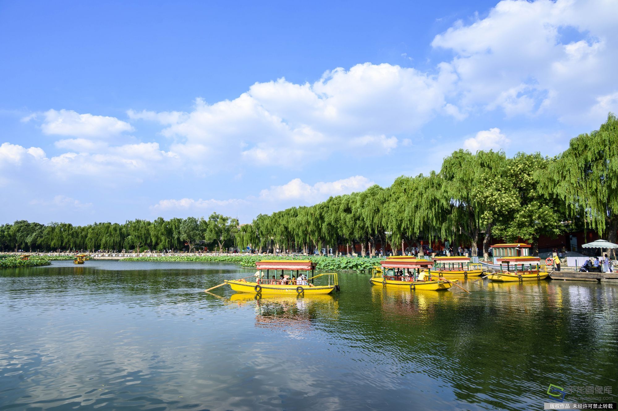 2021年7月23日,盛夏时节,市民乘船荷花渡中赏荷花.