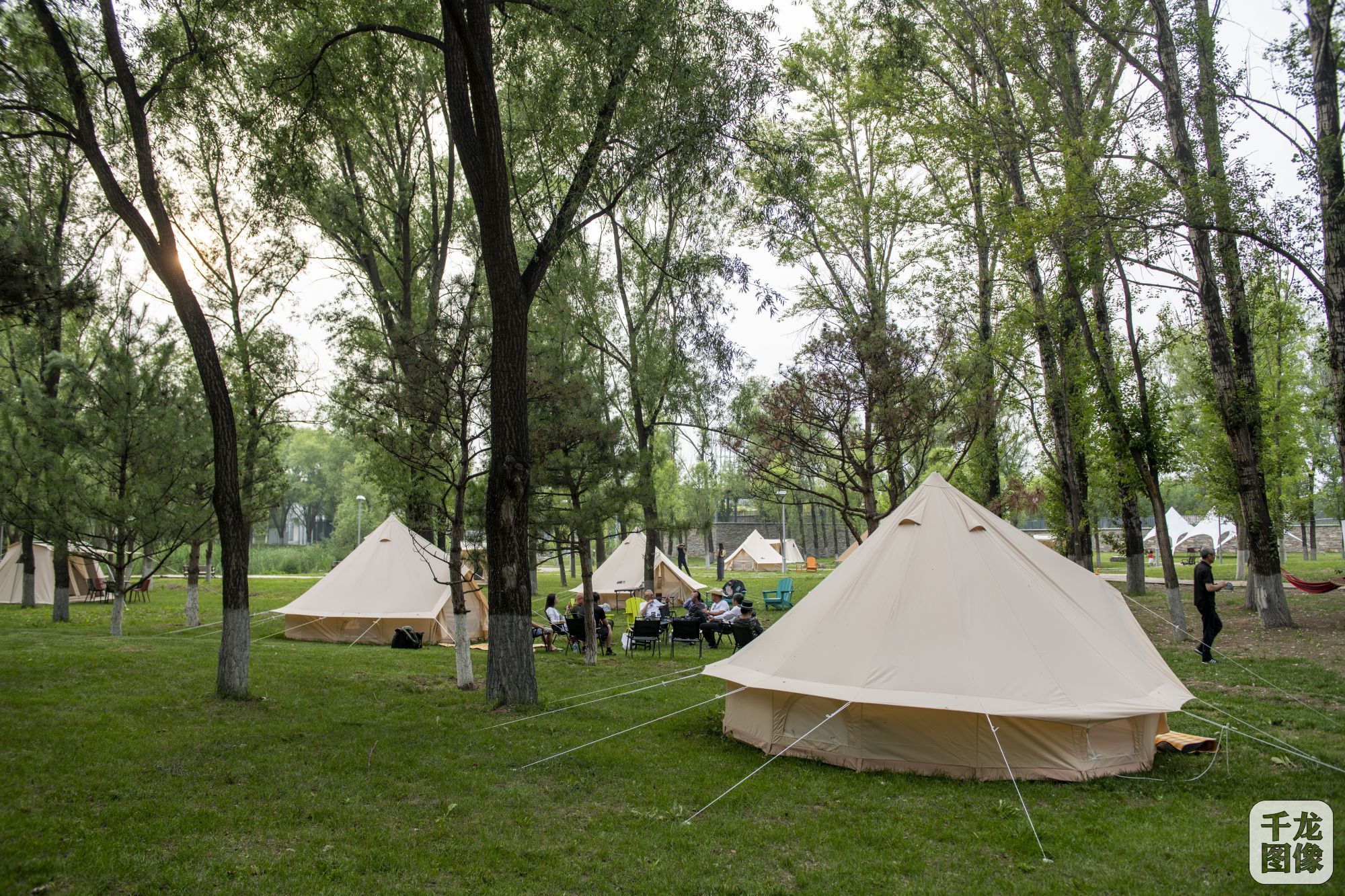 12块营地撒欢儿享夏北京世园公园露营文化节启幕