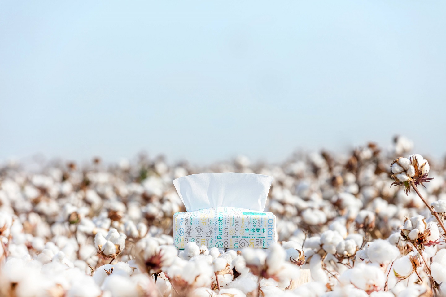 首个棉花可持续生产标准诞生 全棉时代推动行业高质量发展-千龙网