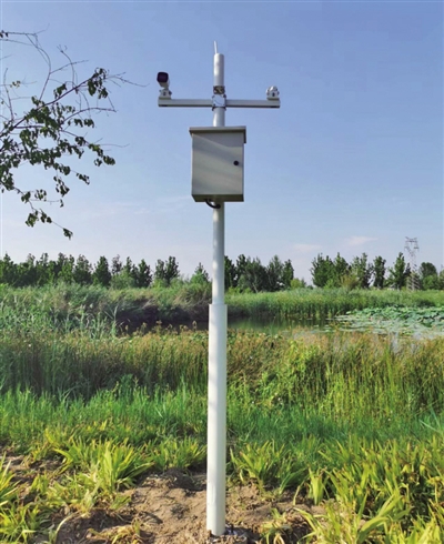 北京监测鸟类用上人工智能声纹智能监测黑科技可识别800种鸟鸣