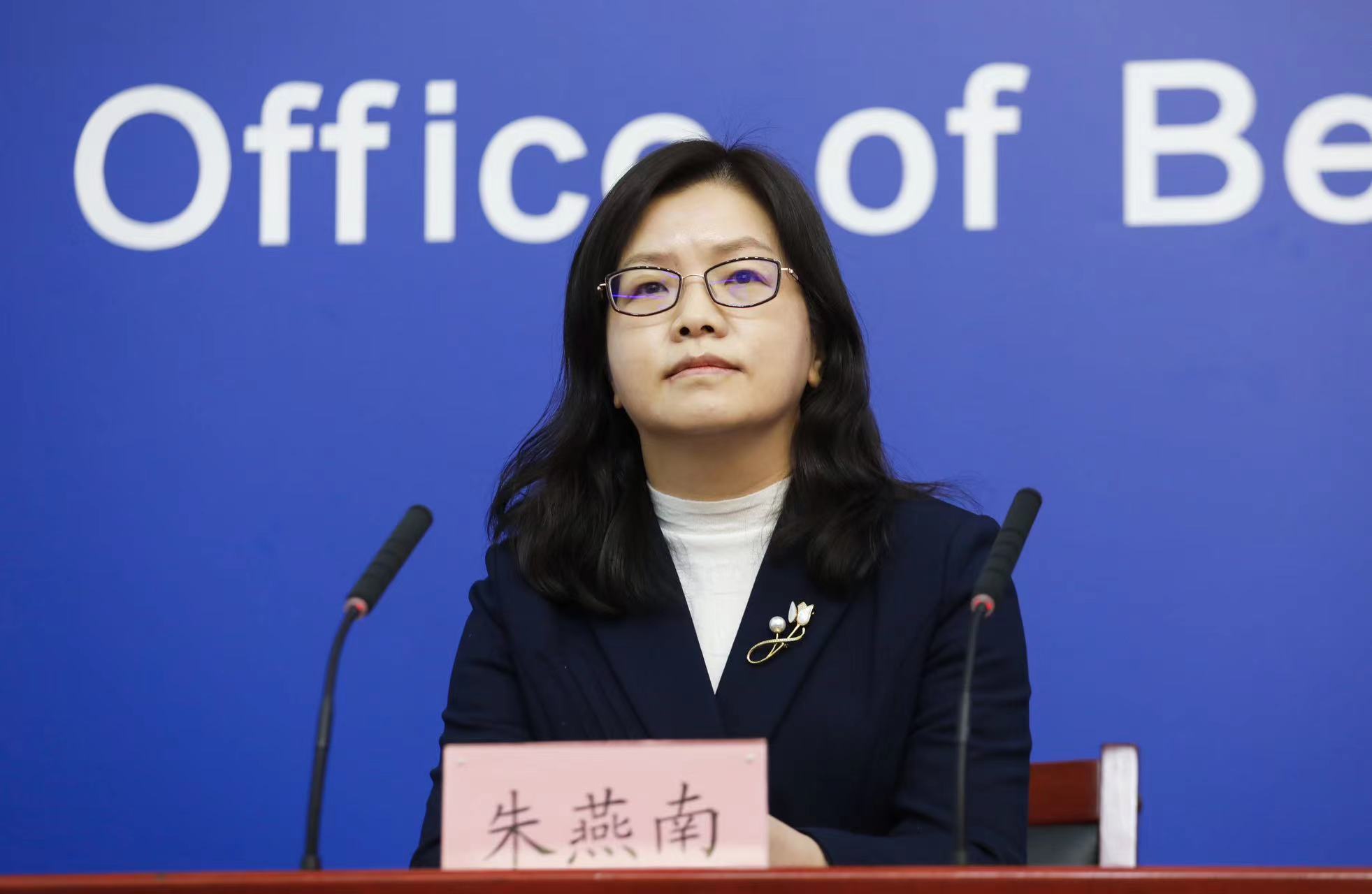 北京市统计局党组成员、副局长 朱燕南