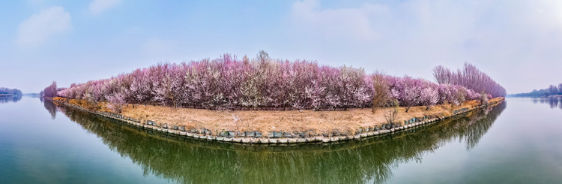 潮白河畔通州东侧，一夜好风吹，新花一万枝——李宗印