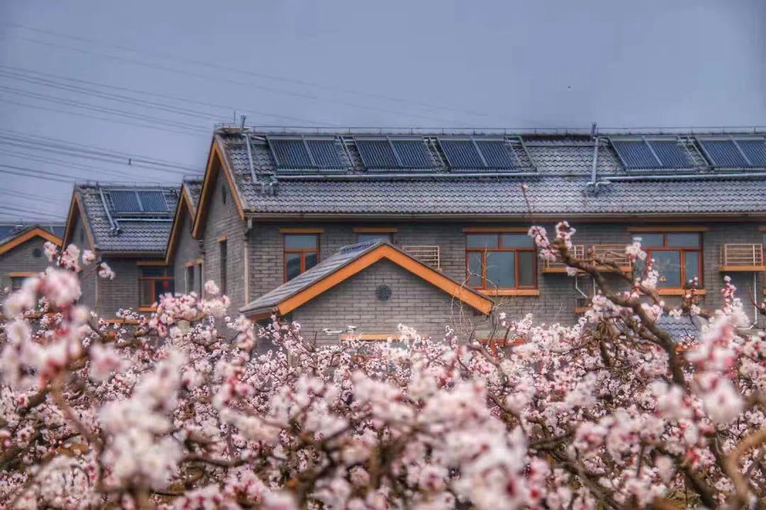 4月的京郊大地，百花盛放，2023年北京市“京华乡韵——逛京郊·品京品·享京韵”首场推介活动亦将如期而至，让我们相约大兴万亩梨园，来一场“不负京华好时节”的春日之约吧！