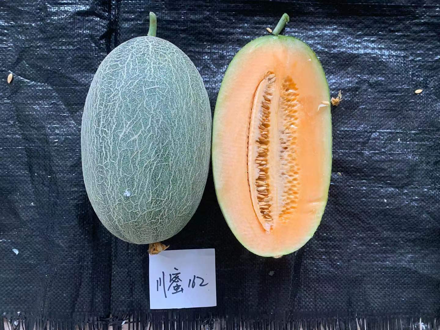 图4 哈密瓜图