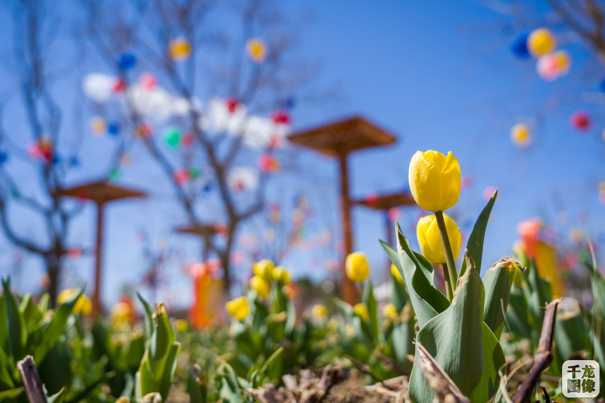 微信图片_20230418153447