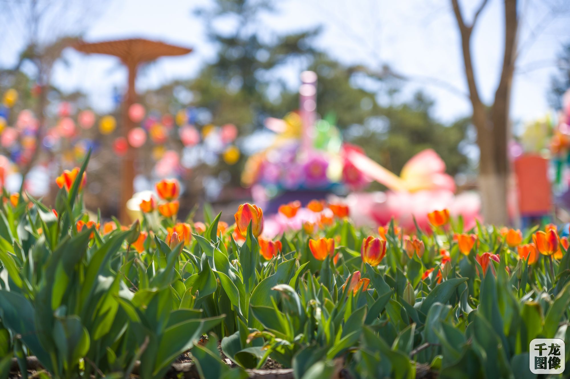 微信图片_20230418153502