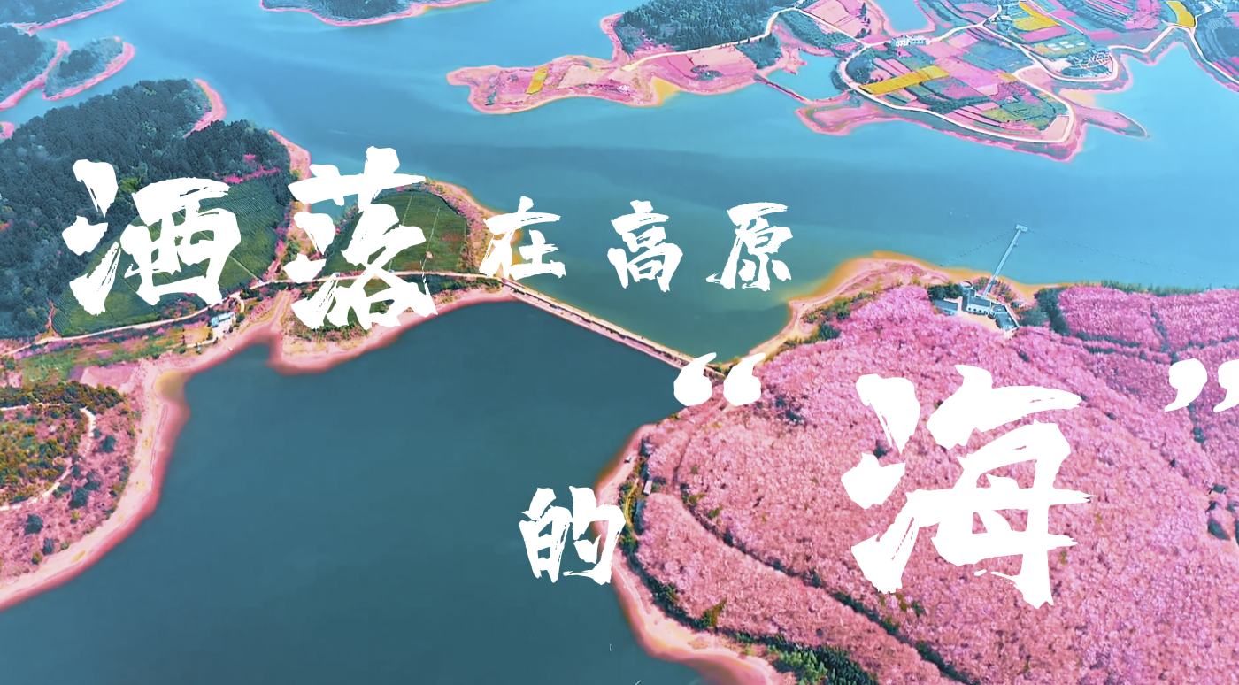WX20230425-211311@2x.png