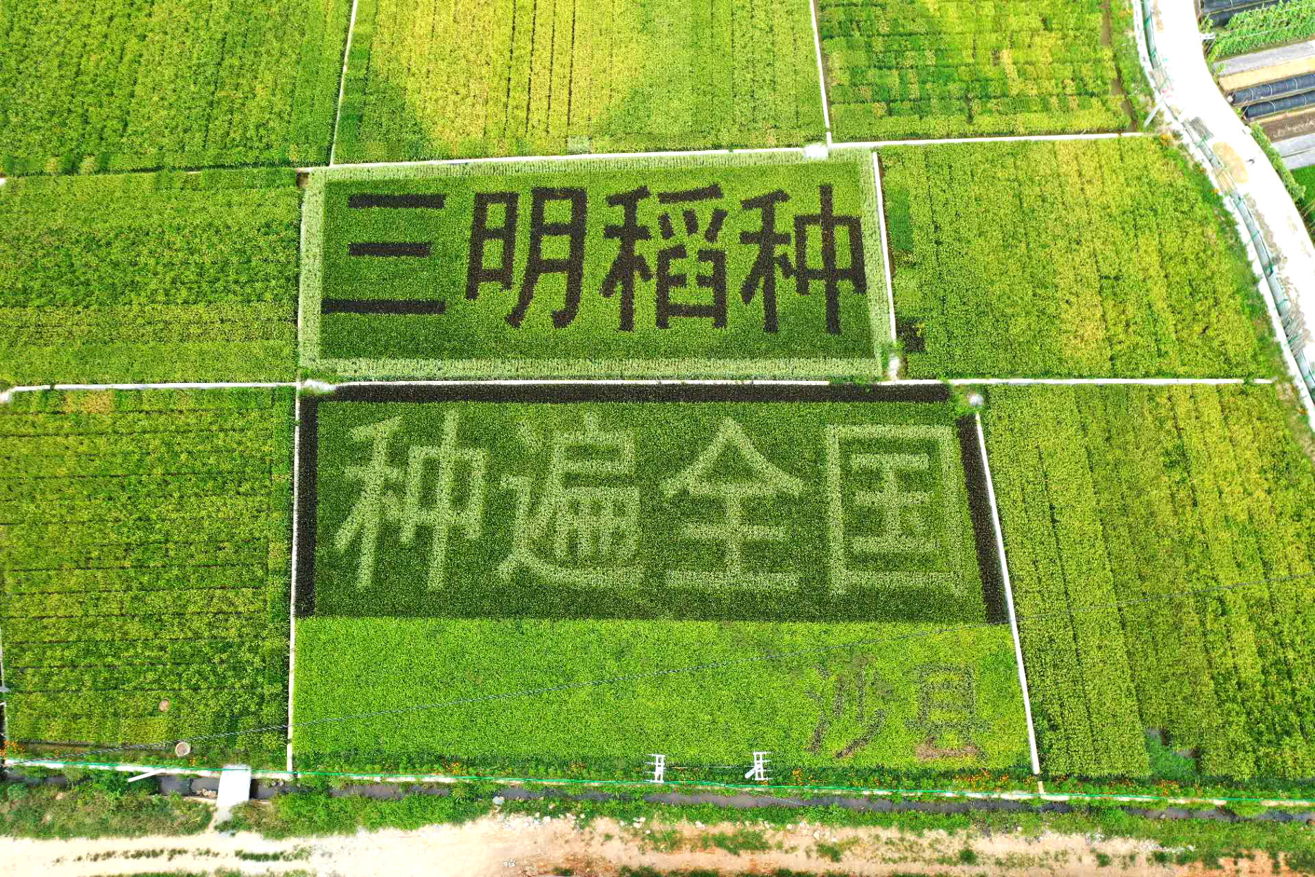 3.全国杂交水稻制种第一大市三明3_副本.jpg