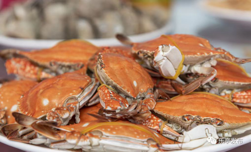 尝源头海鲜享多彩假期2023乐亭国庆八天乐沙滩海鲜节即将启幕
