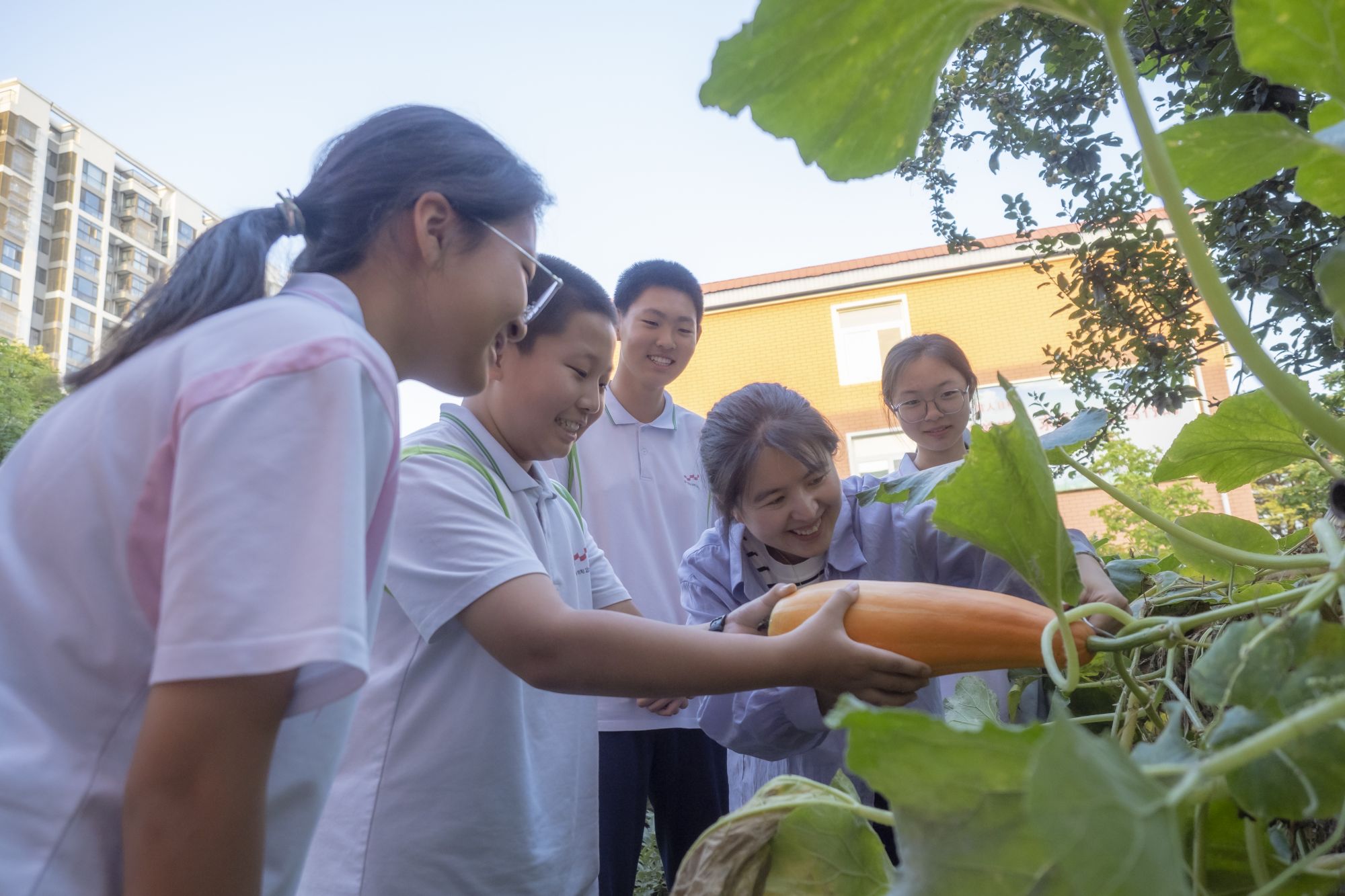 密云第五中学1
