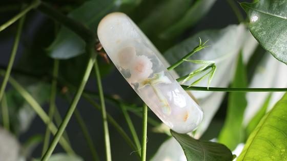 樱花玛瑙科普绽放在腕间的春天