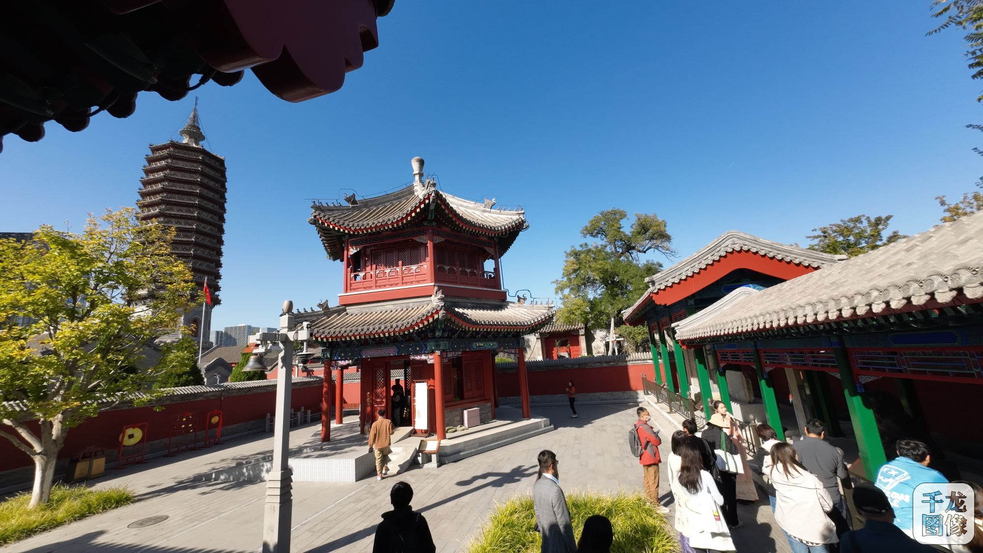 DJI_20231026133727_0196_D