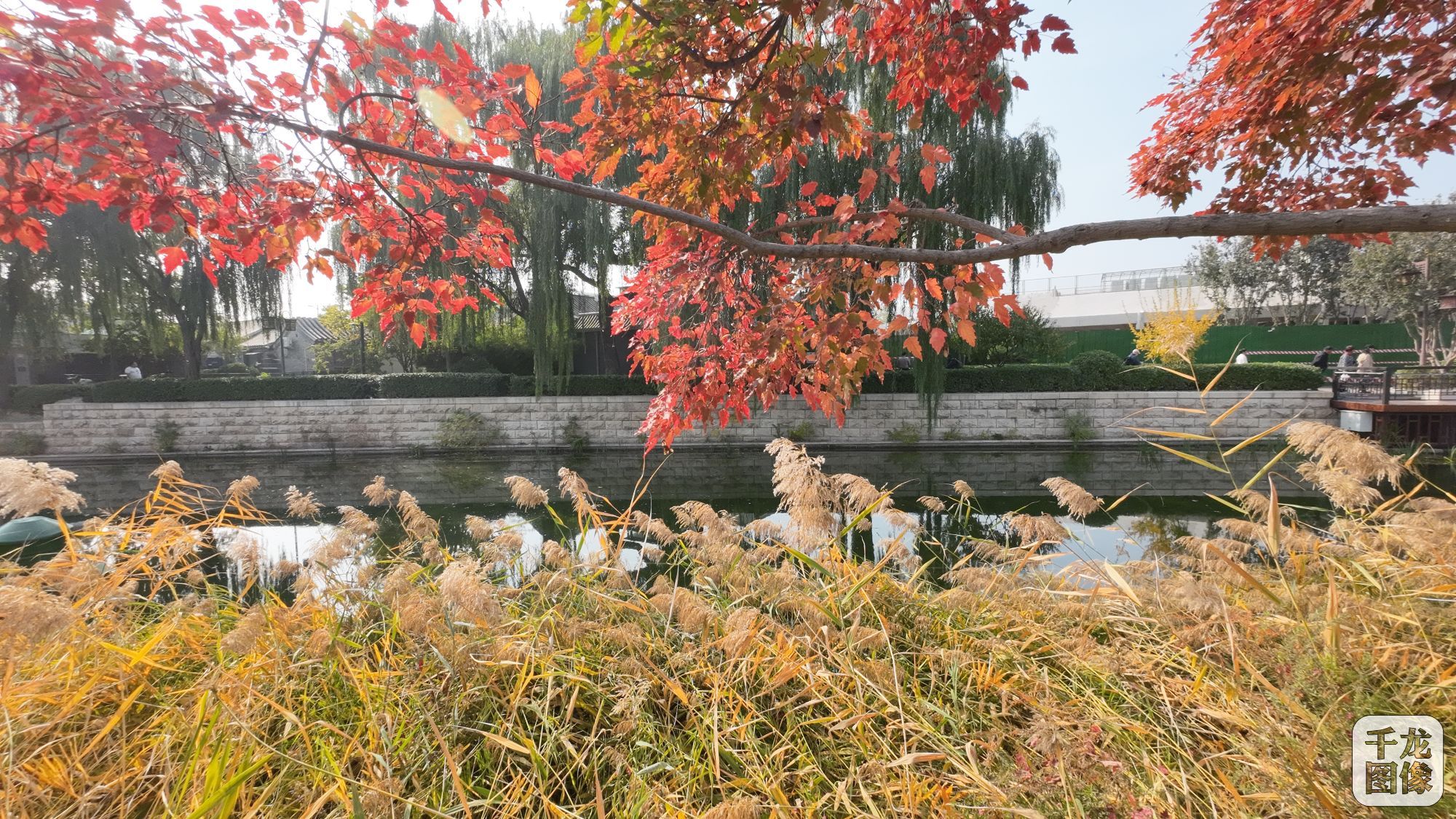 DJI_20231030122422_0236_D