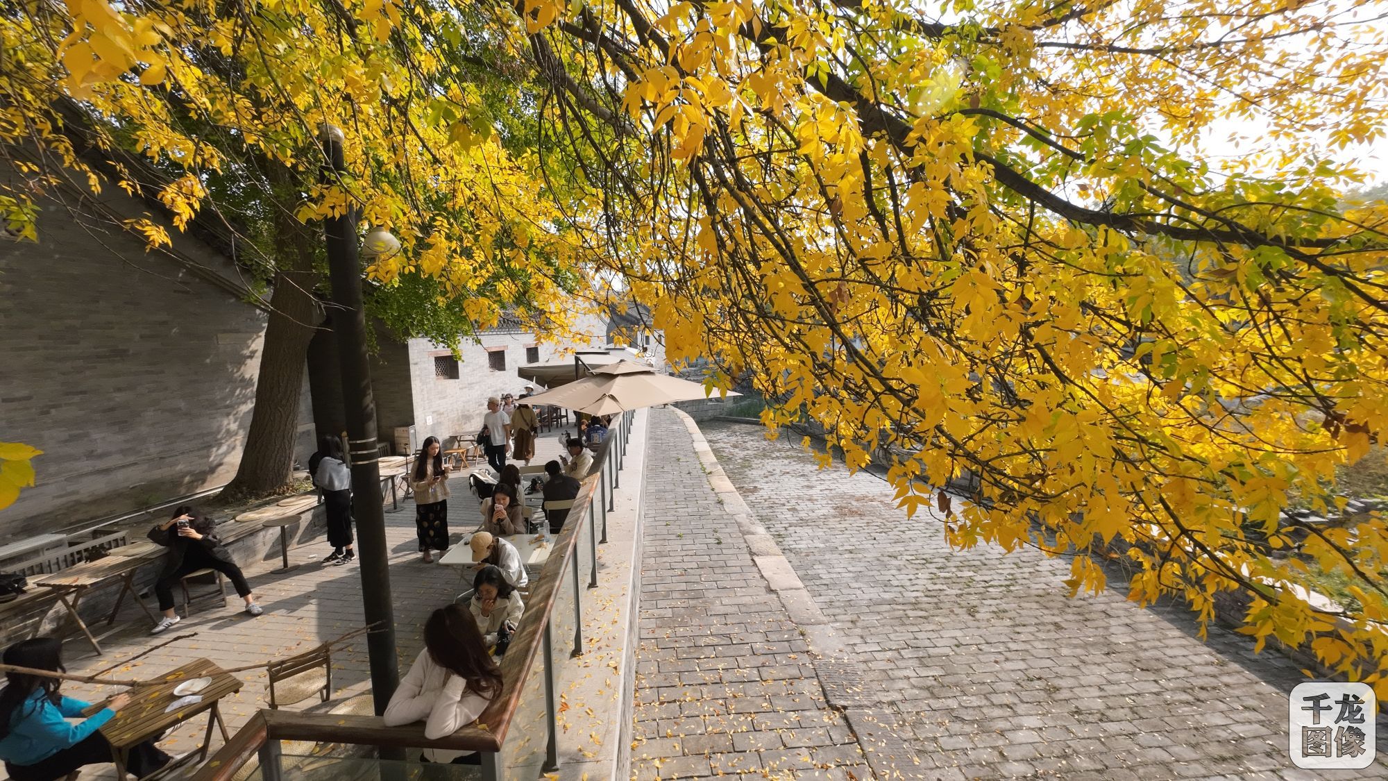 DJI_20231030122545_0240_D