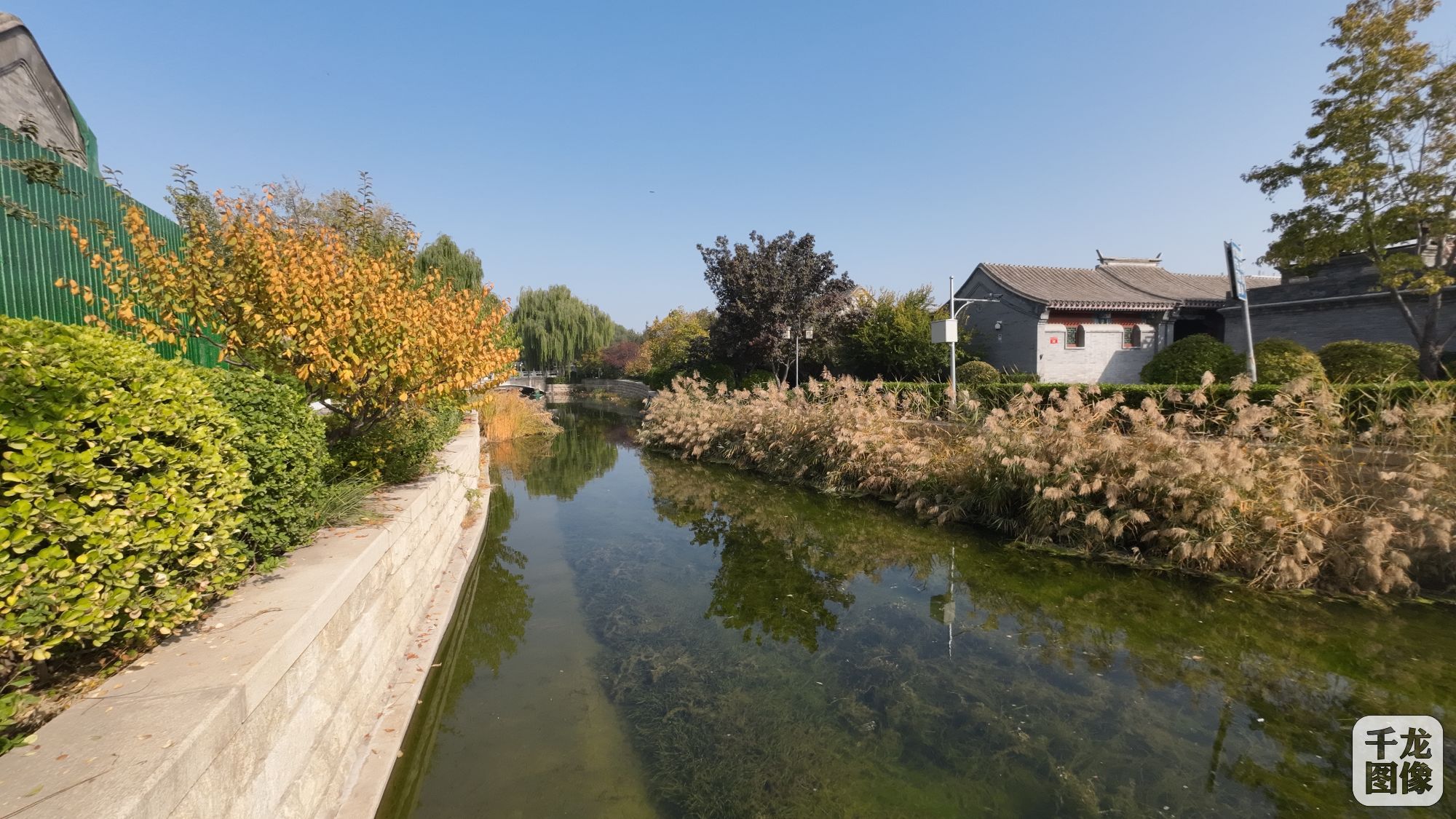 DJI_20231030101635_0161_D