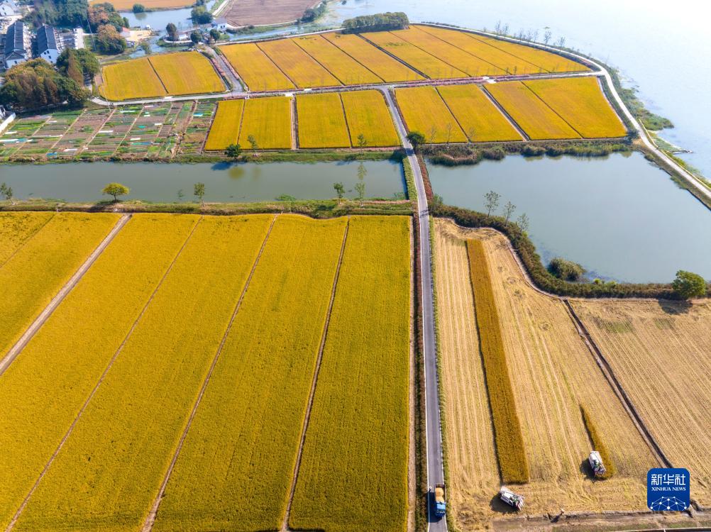 1129952744_16988294602101n