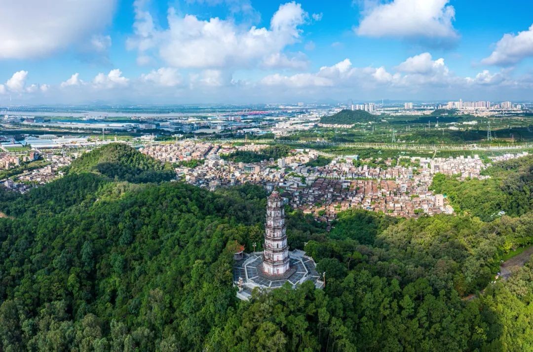 从陈皮梅见,窥视梅见的制酒哲学-千龙网·中国首都网