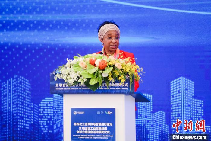 联合国工业发展组织总干事代表兼执行干事法图&bull;海达拉致辞。 