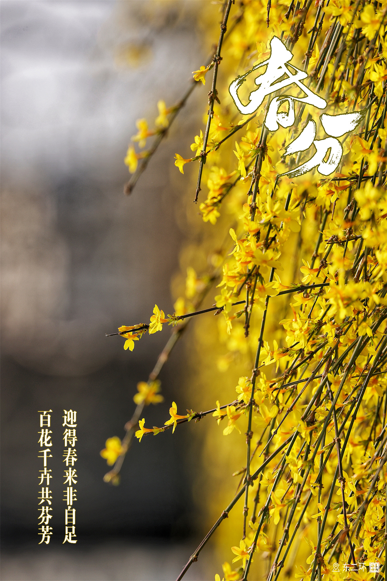 38c7208b9c42fcfffa68700ab78cb97b
