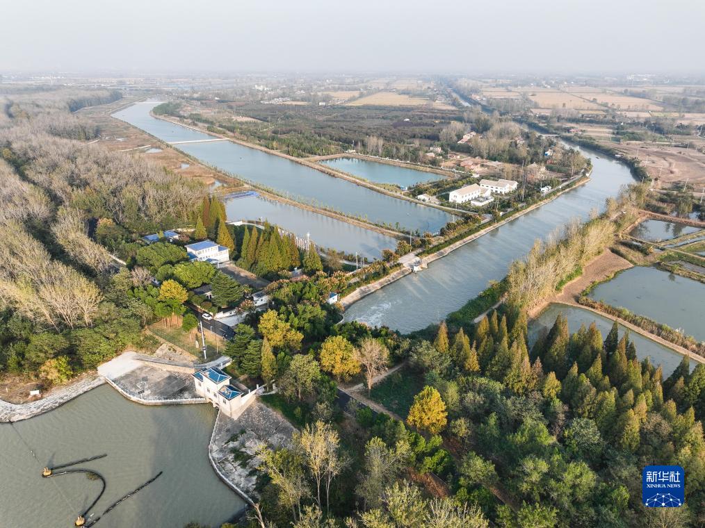 洪泽湖湖水经过周桥渠首流向周桥灌区周桥总干渠(11月8日摄,无人机