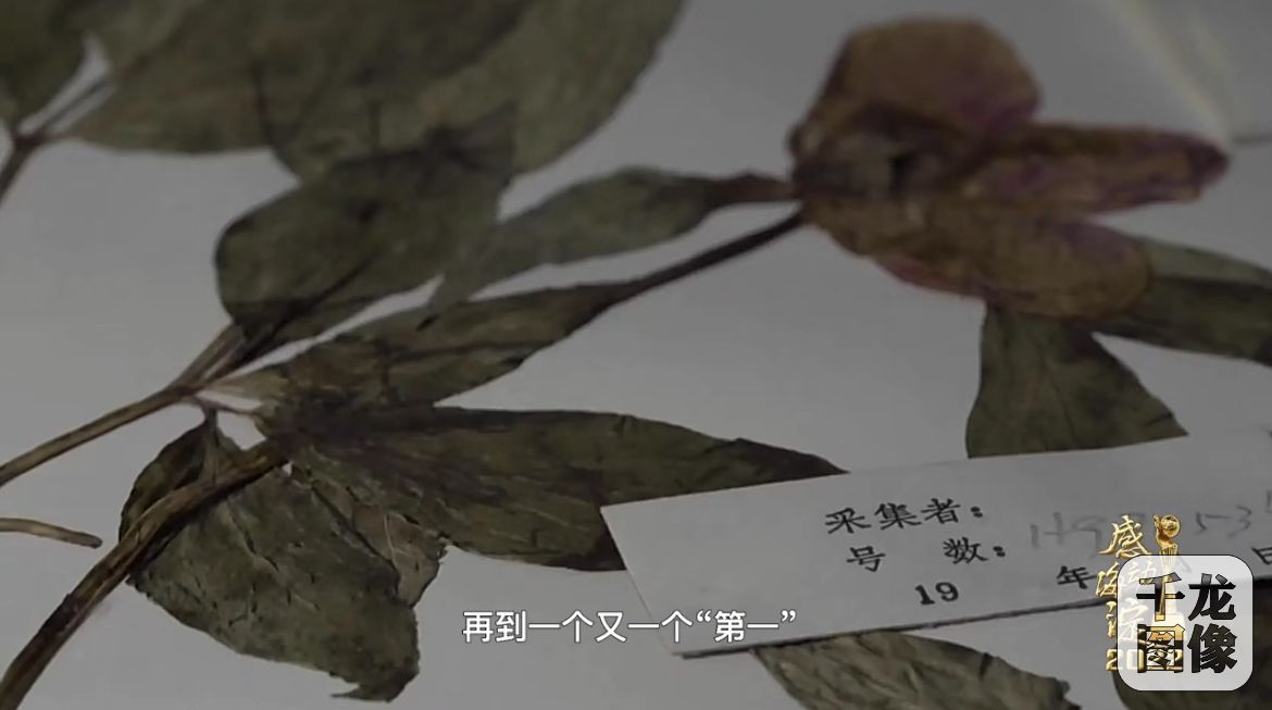 微信图片_20231127133126