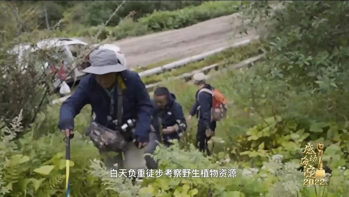 王强与队友白天负重徒步考察野生植物资源