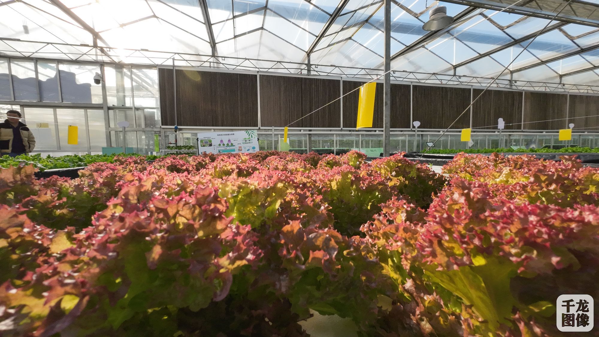 DJI_20231114101724_0068_D