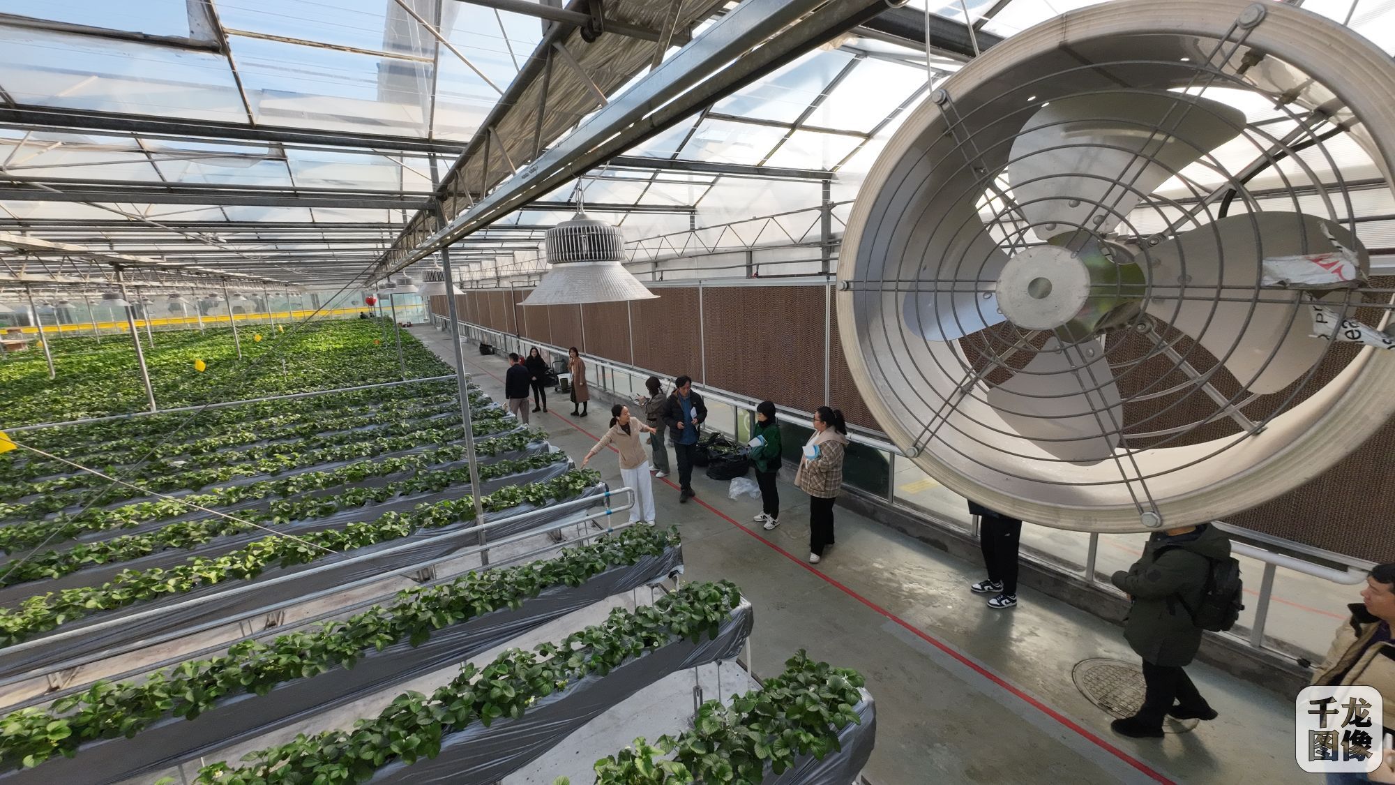 DJI_20231114101831_0073_D