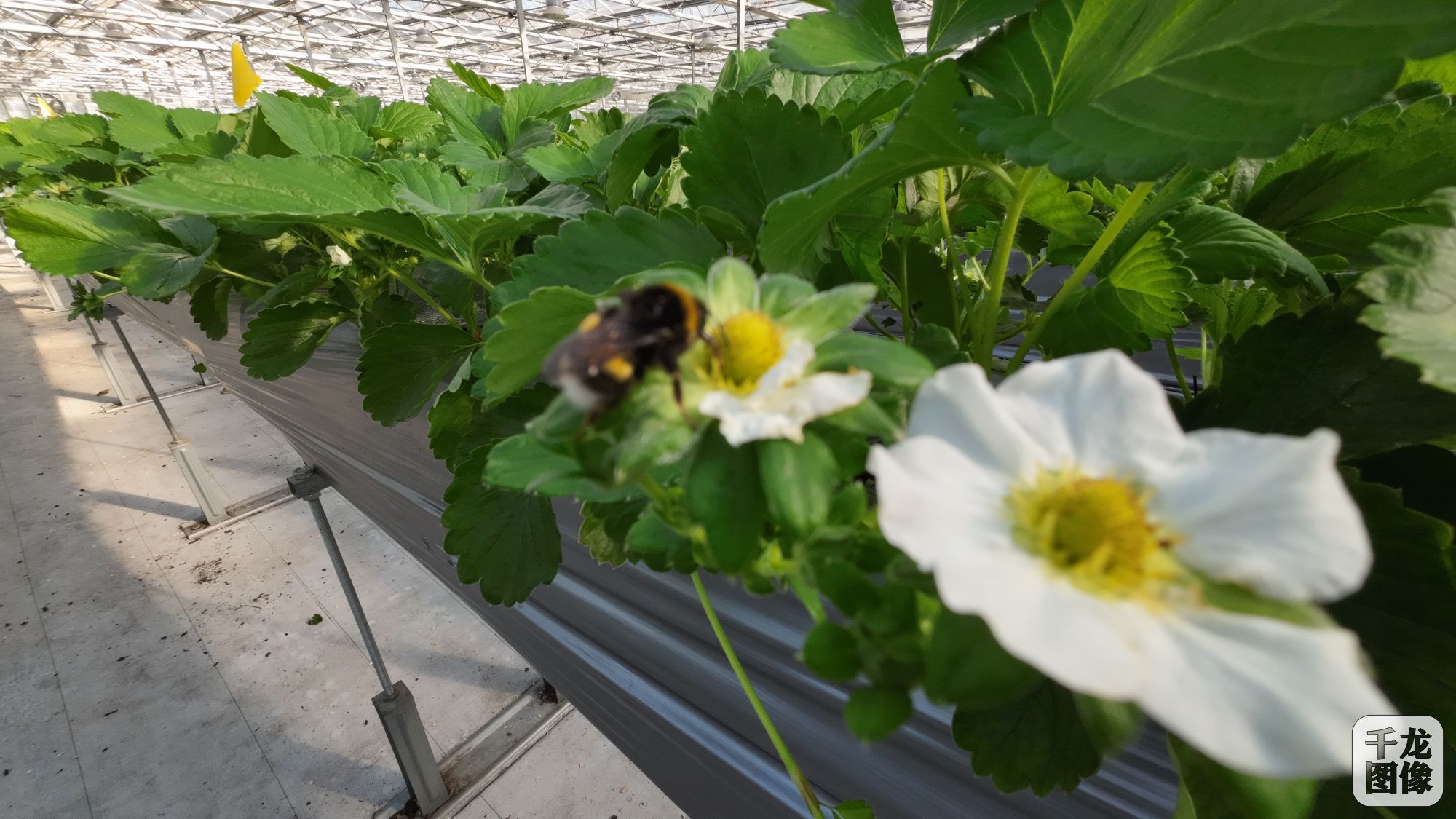 DJI_20231114102207_0085_D