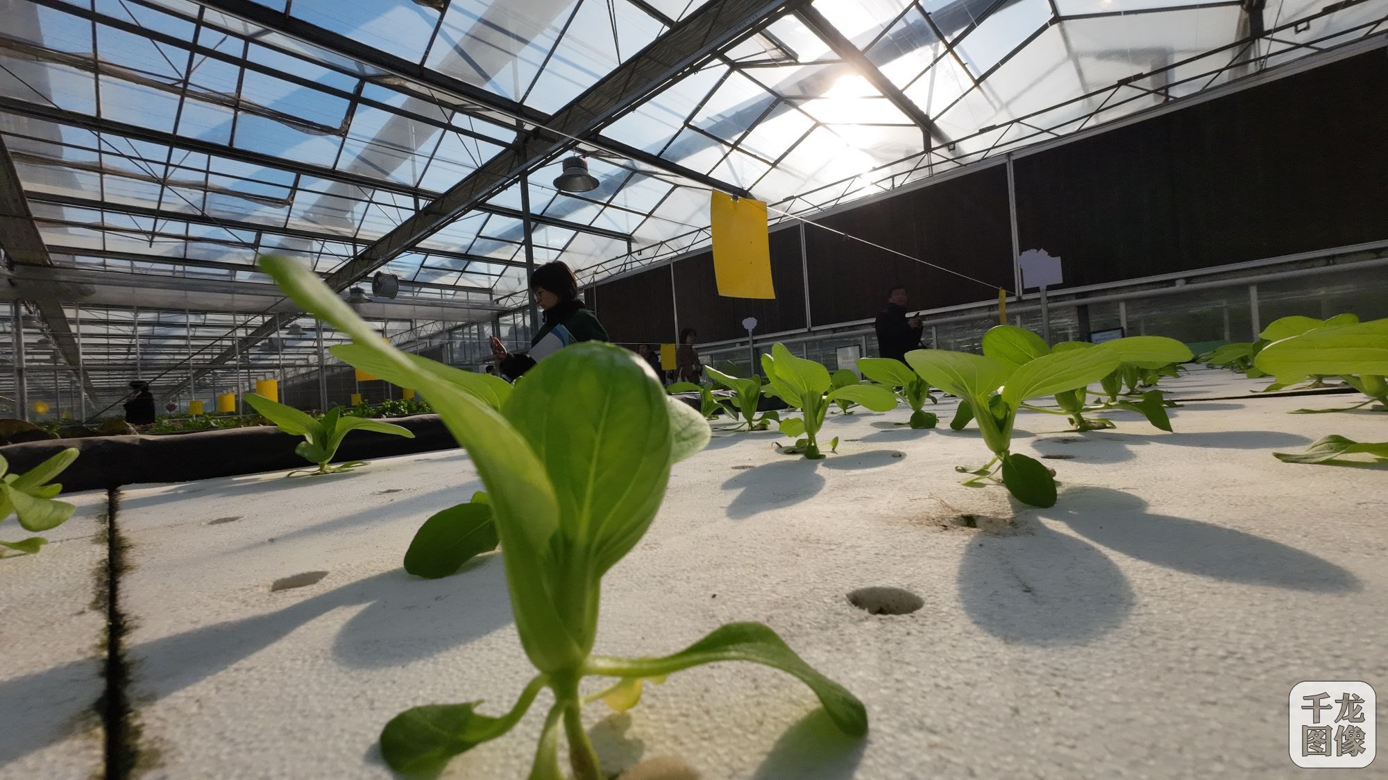 DJI_20231114101628_0063_D