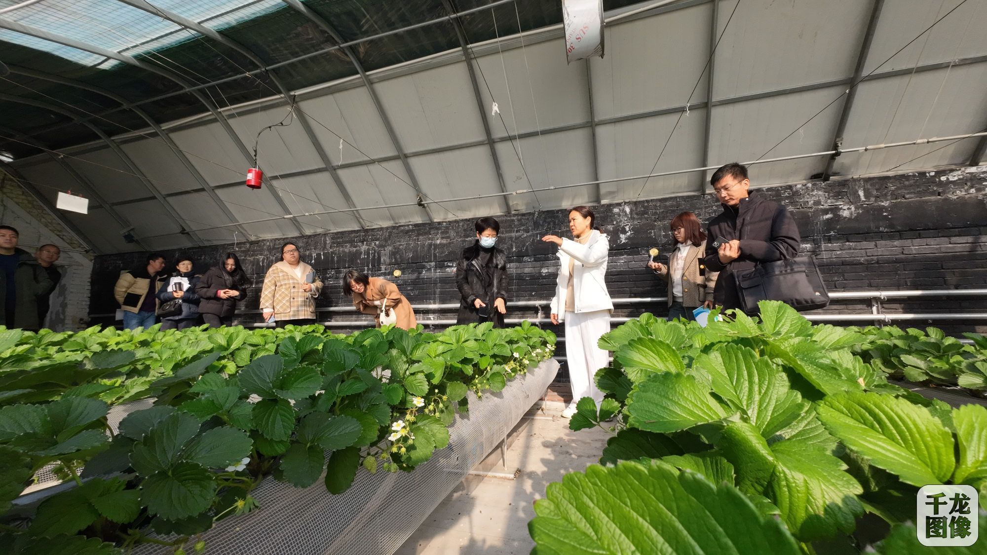 DJI_20231114103624_0109_D_conew1