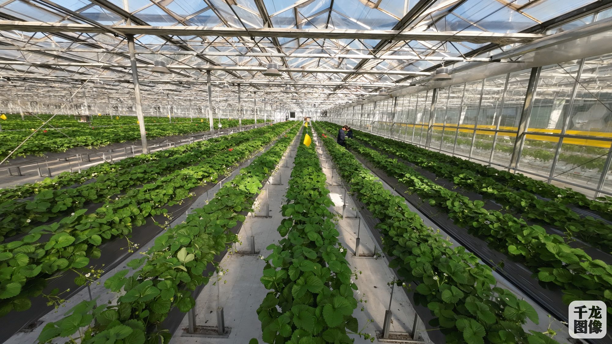 DJI_20231114102314_0089_D_conew1